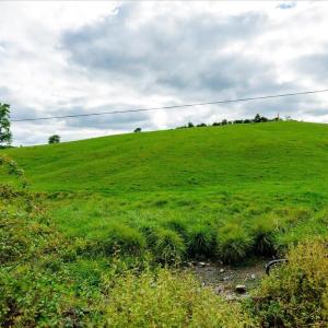 Photo #8 of TBD KNUPP RD, TIMBERVILLE, VA 6.1 acres