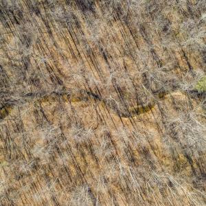 Photo #9 of 12145 CONSTITUTION RTE, SCOTTSVILLE, VA 227.6 acres