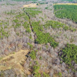 Photo #14 of 12145 CONSTITUTION RTE, SCOTTSVILLE, VA 227.6 acres