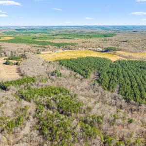 Photo #6 of 12145 CONSTITUTION RTE, SCOTTSVILLE, VA 227.6 acres