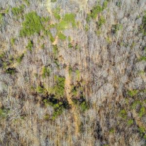 Photo #12 of 12145 CONSTITUTION RTE, SCOTTSVILLE, VA 227.6 acres