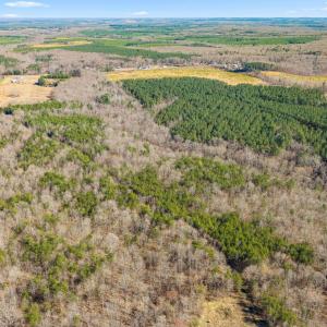 Photo #7 of 12145 CONSTITUTION RTE, SCOTTSVILLE, VA 227.6 acres