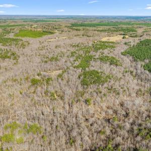 Photo #11 of 12145 CONSTITUTION RTE, SCOTTSVILLE, VA 227.6 acres