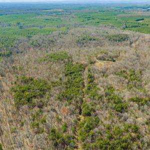 Photo #5 of 12145 CONSTITUTION RTE, SCOTTSVILLE, VA 227.6 acres