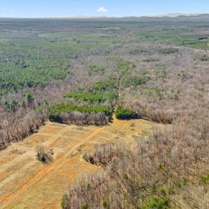 Photo #2 of 12145 CONSTITUTION RTE, SCOTTSVILLE, VA 227.6 acres