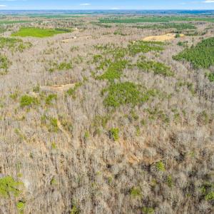 Photo #10 of 12145 CONSTITUTION RTE, SCOTTSVILLE, VA 227.6 acres