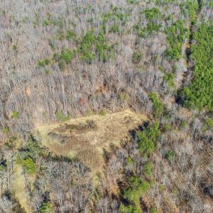 Photo #13 of 12145 CONSTITUTION RTE, SCOTTSVILLE, VA 227.6 acres