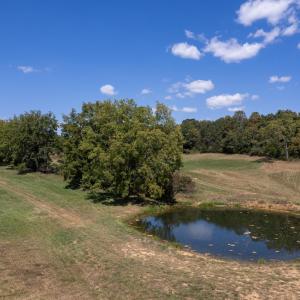 Photo #3 of 1370 MIDDLEBROOK RD, STAUNTON, VA 123.7 acres