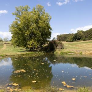 Photo #11 of 1370 MIDDLEBROOK RD, STAUNTON, VA 123.7 acres