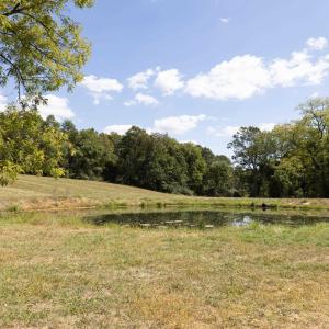 Photo #10 of 1370 MIDDLEBROOK RD, STAUNTON, VA 123.7 acres