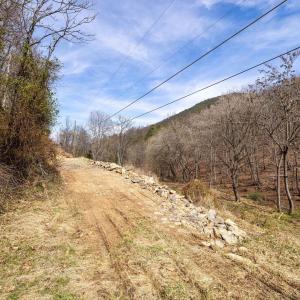 Photo #20 of 2382 LUCAS HOLLOW RD, STANLEY, VA 9.4 acres