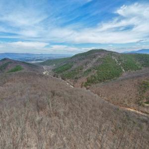 Photo #7 of 2382 LUCAS HOLLOW RD, STANLEY, VA 9.4 acres