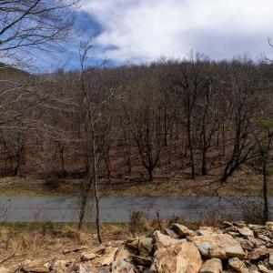 Photo #22 of 2382 LUCAS HOLLOW RD, STANLEY, VA 9.4 acres
