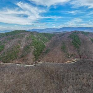 Photo #8 of 2382 LUCAS HOLLOW RD, STANLEY, VA 9.4 acres