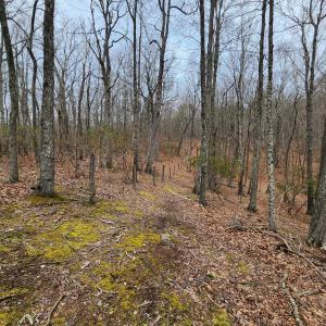 Photo #5 of TBD JACK MOUNTAIN RD, DOE HILL, VA 33.8 acres
