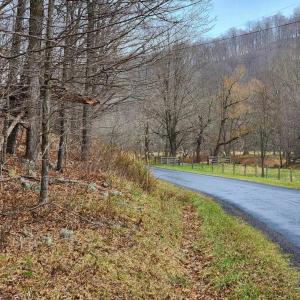 Photo #1 of TBD JACK MOUNTAIN RD, DOE HILL, VA 33.8 acres