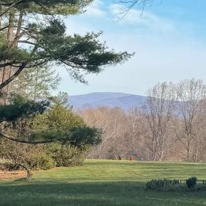 This is the view from house next door.  This parcel offers this potential with more clearing.