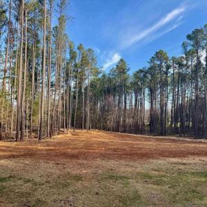 Photo #4 of GARTH RD, CHARLOTTESVILLE, VA 3.1 acres