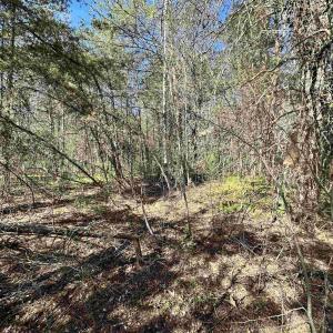 Photo #3 of INDIAN TRACE TRL, UNIONVILLE, VA 11.0 acres