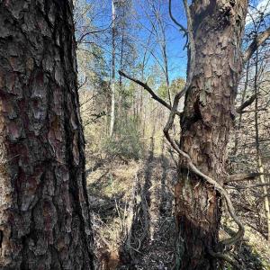 Photo #6 of INDIAN TRACE TRL, UNIONVILLE, VA 11.0 acres