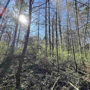 Photo #5 of INDIAN TRACE TRL, UNIONVILLE, VA 11.0 acres