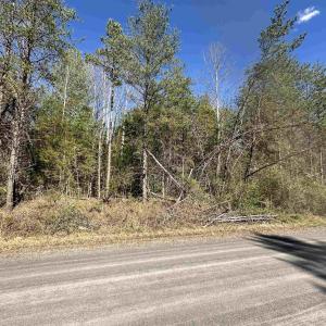 Level lot in front, then gradually slopes downward to Terry's Run at lot rear.