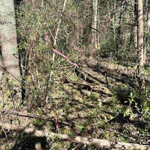 Photo #10 of INDIAN TRACE TRL, UNIONVILLE, VA 11.0 acres