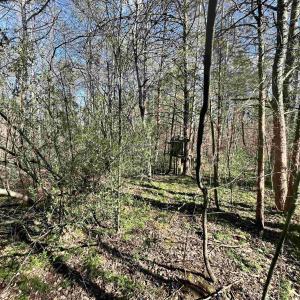 Photo #4 of INDIAN TRACE TRL, UNIONVILLE, VA 11.0 acres