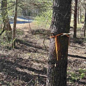 Photo #13 of INDIAN TRACE TRL, UNIONVILLE, VA 11.0 acres