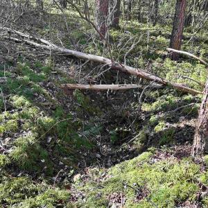 Photo #11 of INDIAN TRACE TRL, UNIONVILLE, VA 11.0 acres