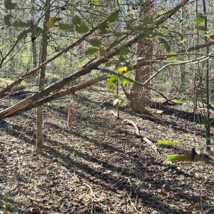 Photo #8 of INDIAN TRACE TRL, UNIONVILLE, VA 11.0 acres