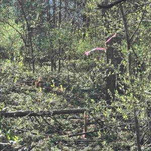 Photo #9 of INDIAN TRACE TRL, UNIONVILLE, VA 11.0 acres