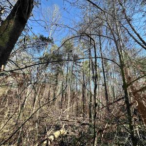 Photo #7 of INDIAN TRACE TRL, UNIONVILLE, VA 11.0 acres