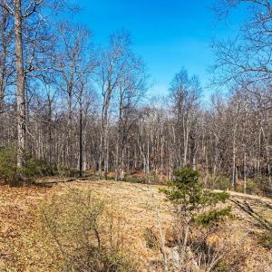 Photo #1 of Lot 11 FARMINGTON DR, STAUNTON, VA 2.1 acres