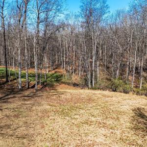 Photo #7 of Lot 11 FARMINGTON DR, STAUNTON, VA 2.1 acres