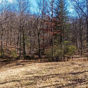 Photo #9 of Lot 11 FARMINGTON DR, STAUNTON, VA 2.1 acres