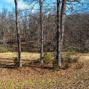 Photo #5 of Lot 11 FARMINGTON DR, STAUNTON, VA 2.1 acres