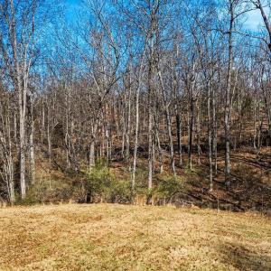 Photo #8 of Lot 11 FARMINGTON DR, STAUNTON, VA 2.1 acres