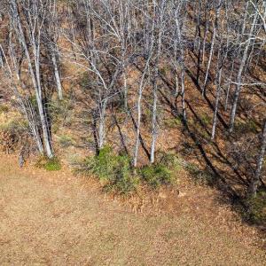 Photo #19 of Lot 11 FARMINGTON DR, STAUNTON, VA 2.1 acres