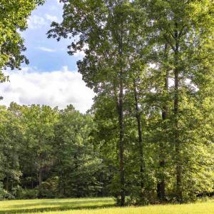 Photo #8 of Lot 11 FARMINGTON DR, STAUNTON, VA 2.1 acres