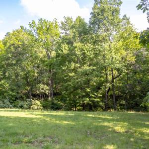 Photo #11 of Lot 11 FARMINGTON DR, STAUNTON, VA 2.1 acres
