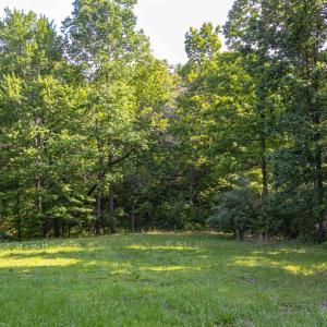 Photo #10 of Lot 11 FARMINGTON DR, STAUNTON, VA 2.1 acres