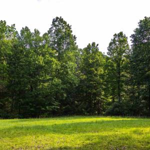 Photo #14 of Lot 11 FARMINGTON DR, STAUNTON, VA 2.1 acres