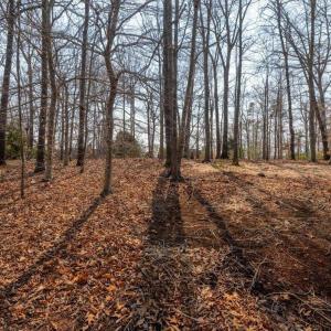 Photo #17 of 168 CEDAR GLEN CLOSE, NELLYSFORD, VA 0.4 acres