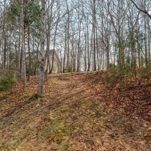 Photo #16 of 168 CEDAR GLEN CLOSE, NELLYSFORD, VA 0.4 acres