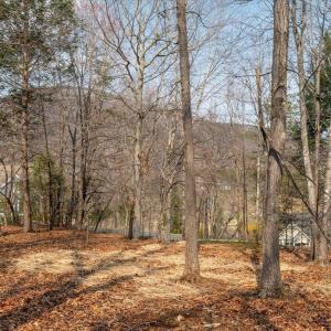 Photo #19 of 168 CEDAR GLEN CLOSE, NELLYSFORD, VA 0.4 acres