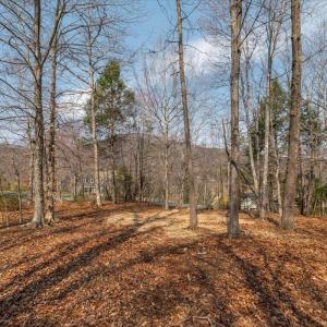 Photo #1 of 168 CEDAR GLEN CLOSE, NELLYSFORD, VA 0.4 acres