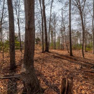 Photo #18 of 168 CEDAR GLEN CLOSE, NELLYSFORD, VA 0.4 acres