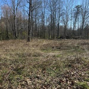 Photo #1 of TBD  0 CRIMORA MINE RD, CRIMORA, VA 5.0 acres