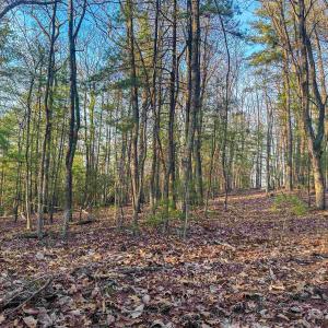 Photo #18 of 4358 DEERFIELD VALLEY RD, DEERFIELD, VA 21.5 acres